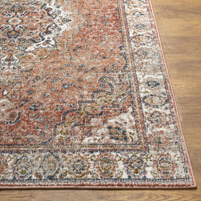 Swinford Traditional Area Rug - Clearance