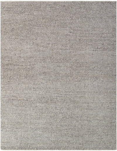 Norio Gray Wool Area Rug