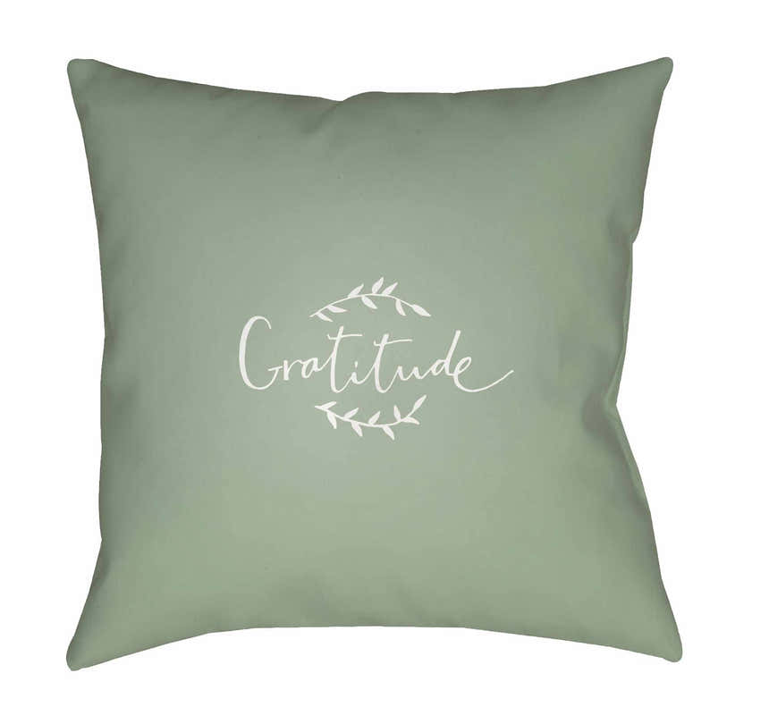 Seyah Outdoor Throw Pillow