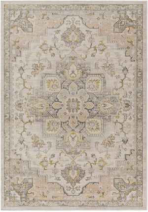 Taloy Area Rug - Clearance