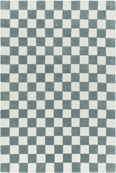 Timin Blue Gray Checkered Area Rug
