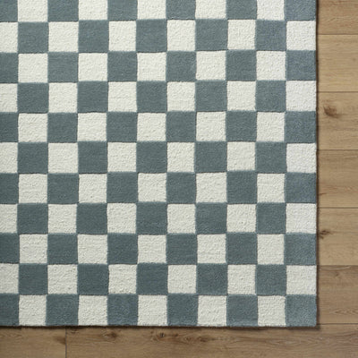 Timin Blue Gray Checkered Area Rug