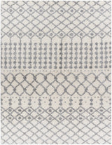 Teheran  Area Rug - Clearance