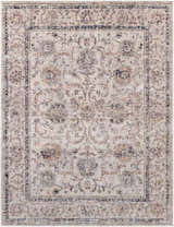 Close-up of the Temelec Area Rug. Beige rug with burnt orange, charcoal, and cream floral pattern and traditional border. Design-Rectangle-710