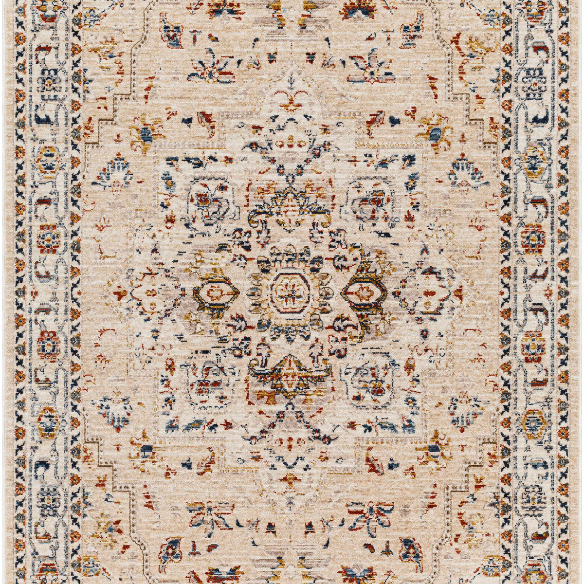 Teva Traditional Style Rug - Clearance – Boutique Rugs
