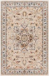 Teva Traditional Style Rug - Clearance