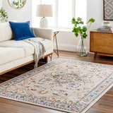 Teva Traditional Style Rug - Clearance