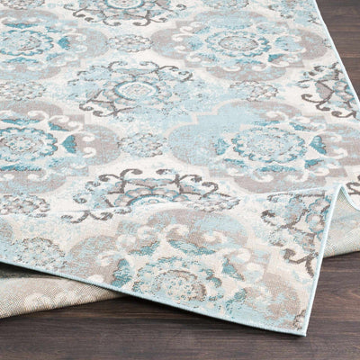 Thomson Area Rug - Clearance