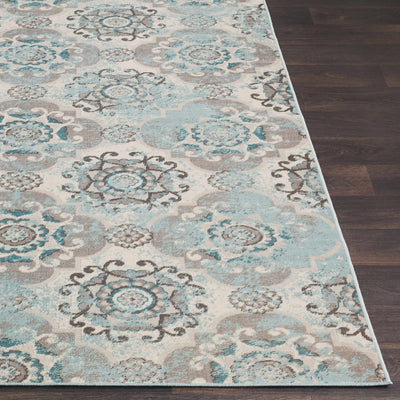 Thomson Area Rug - Clearance