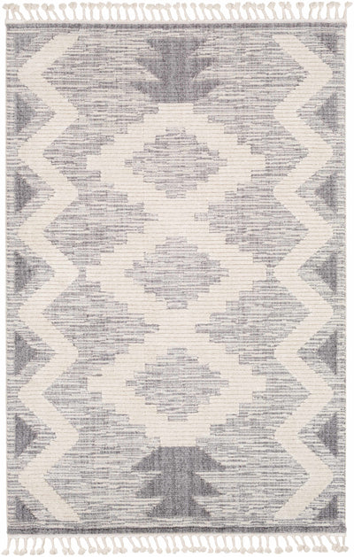 Thornburg High-Low Pile Area Rug - Clearance