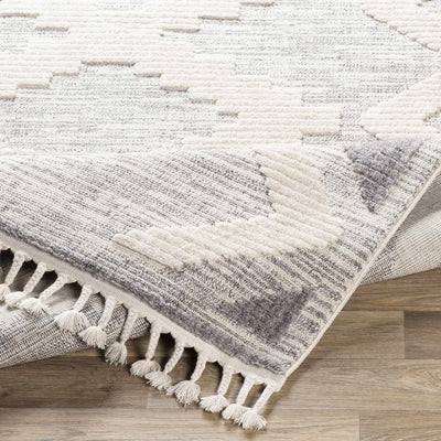 Thornburg High-Low Pile Area Rug - Clearance