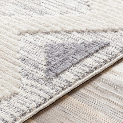 Thornburg High-Low Pile Area Rug - Clearance