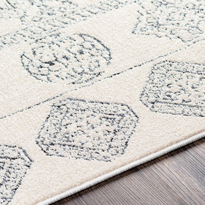 Tiller Clearance Rug - Clearance