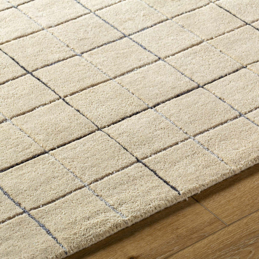 Close-up of the Toshi Beige Area Rug featuring a geometric grid pattern in tan and gray on a wood floor. Texture