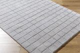Toshi Sterling Gray Area Rug