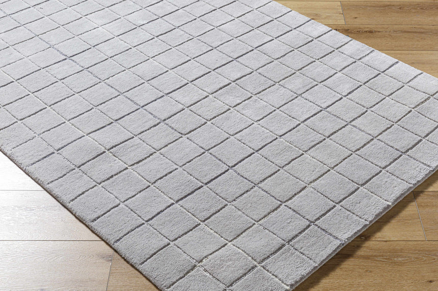Toshi Sterling Gray Area Rug