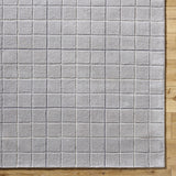 Toshi Sterling Gray Area Rug