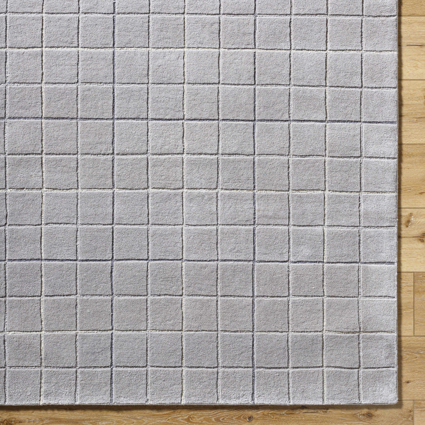 Toshi Sterling Gray Area Rug