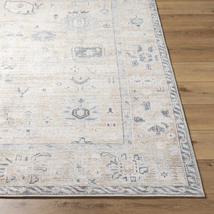 Toddy Area Rug