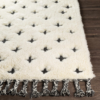 Tallevast Wool Area Rug - Clearance