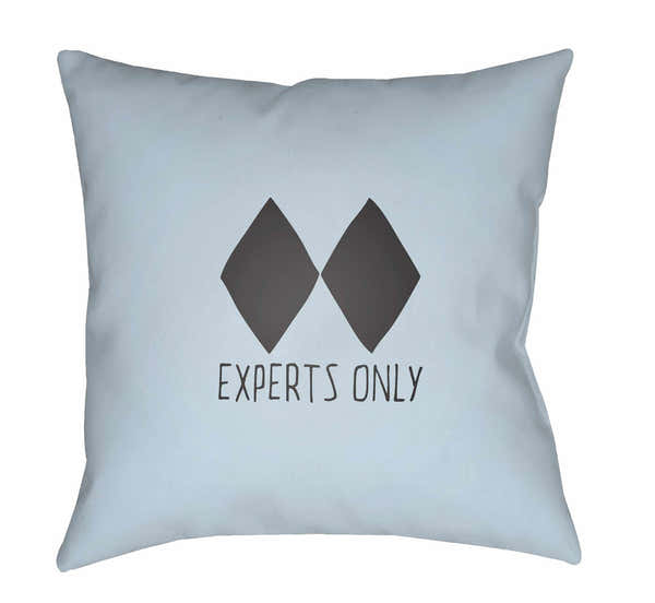 Templemore Outdoor Throw Pillow