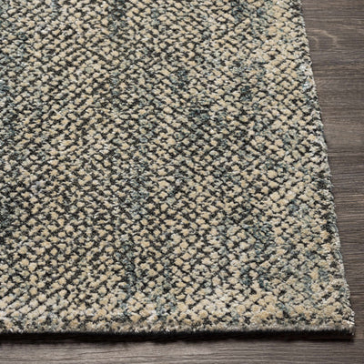 Toboy Area Rug