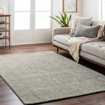 Toboy Area Rug