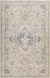 Buguey Cream Area Rug - Clearance