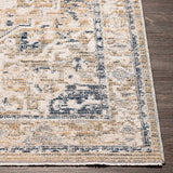 Buguey Cream Area Rug - Clearance