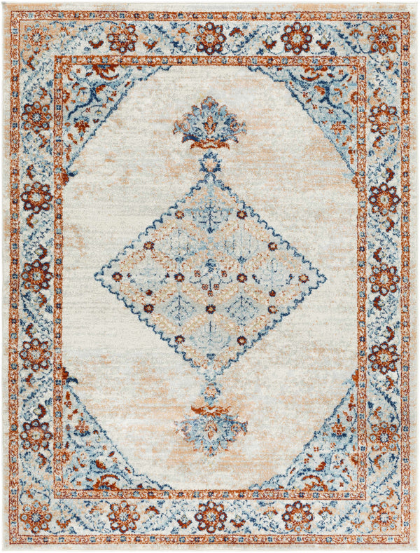 Toong Area Rug - Clearance