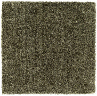 Toppenish Area Rug - Clearance