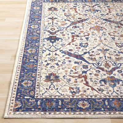 Townshend Area Rug - Clearance