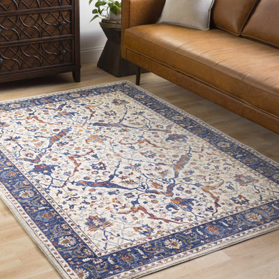 Townshend Area Rug - Clearance