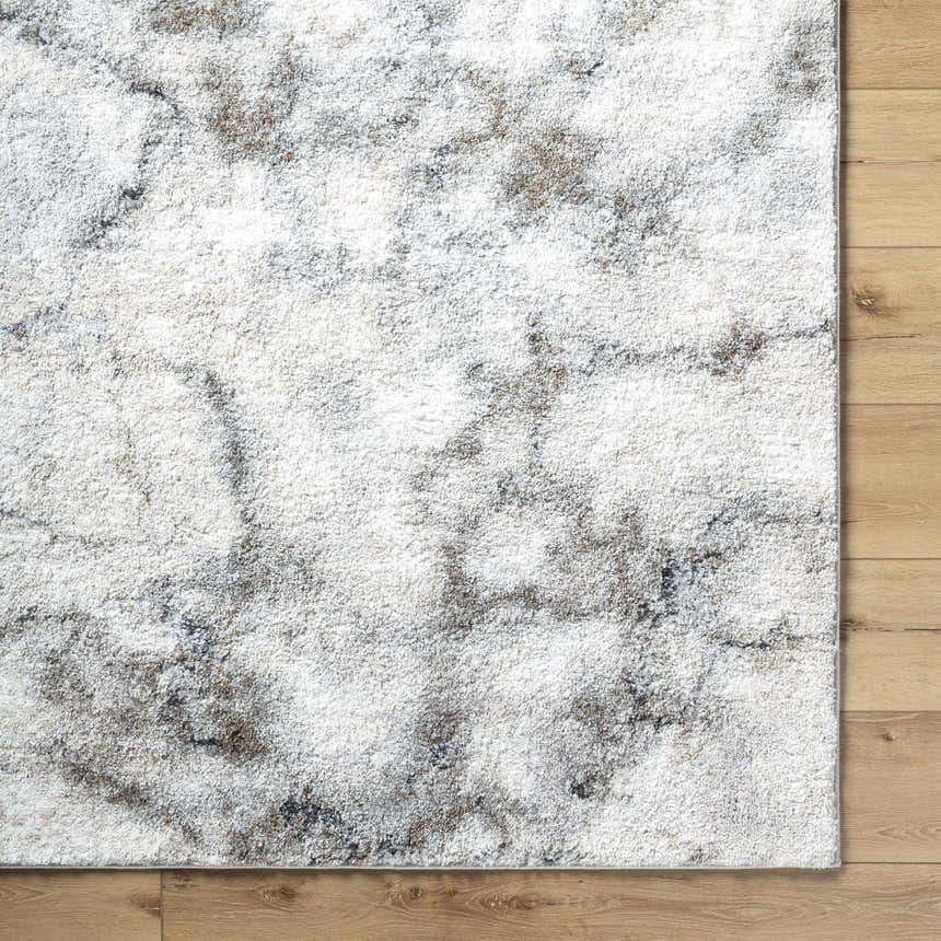 Close-up of Titan Light Gray Area Rug showing a contemporary light silver and gray pattern and soft texture on wood floor. Corner