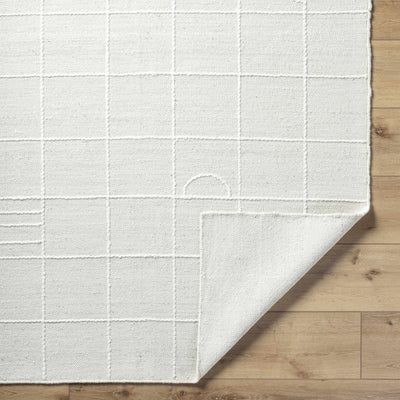 Tieve Off White Checkered Area Rug