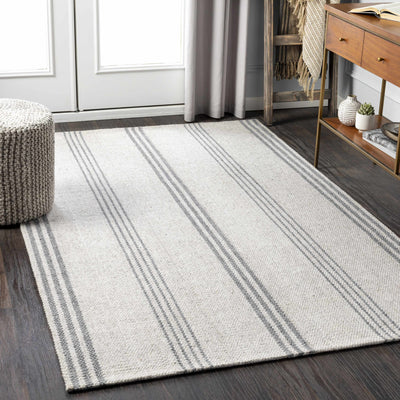 Treichlers Area Rug - Clearance