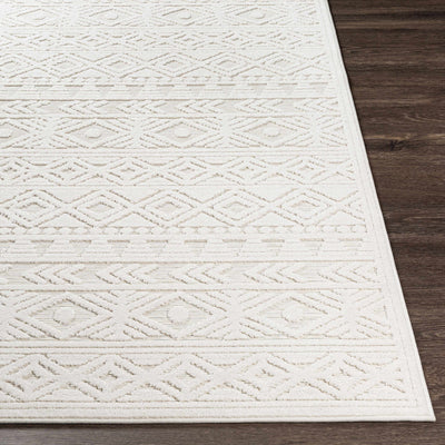 Treuddyn Outdoor Rug