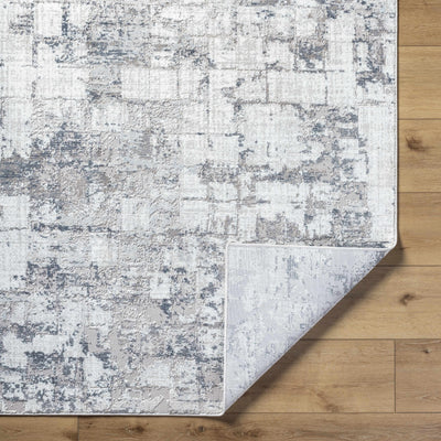 Tycho Area Rug