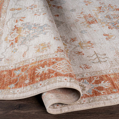 Tsawsen Rust Bordered Oushak Rug