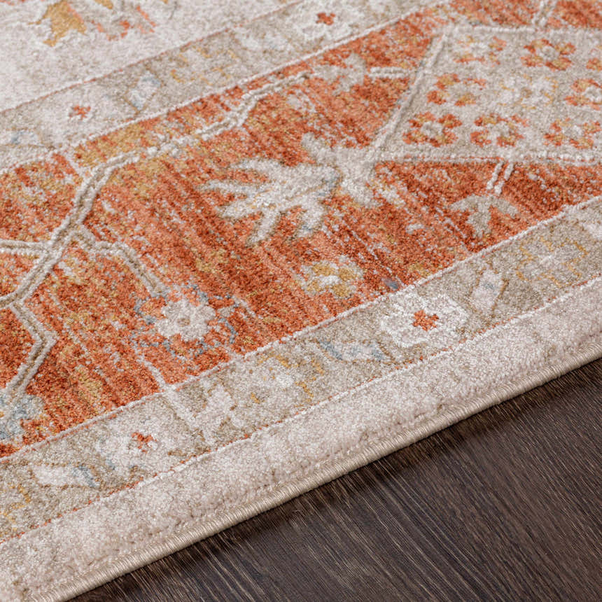 Close-up of the Tsawwassen Thick Luxe Area Rug showing brick red, beige, and gray traditional pattern and soft texture. Texture