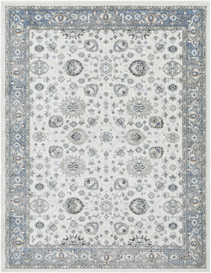 Tomer Area Rug