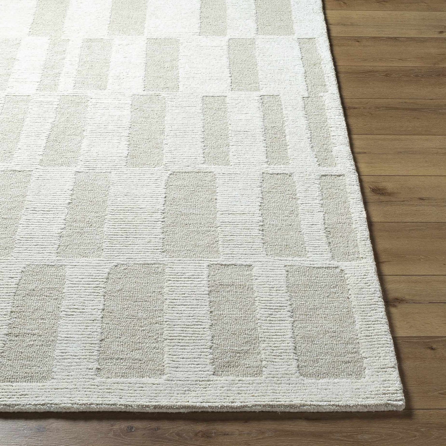 Teige Light Silver Area Rug