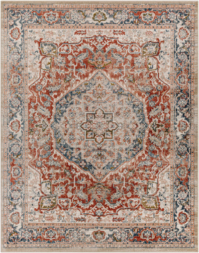 Sturt Rust Area Rug - Clearance