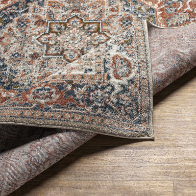 Sturt Rust Area Rug - Clearance