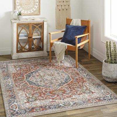 Sturt Rust Area Rug - Clearance