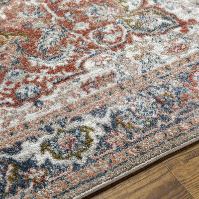 Sturt Rust Area Rug - Clearance