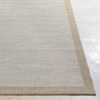 Tuluksak Indoor & Outdoor Rug - Clearance