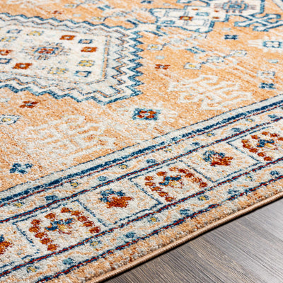 Turhal Area Rug - Clearance