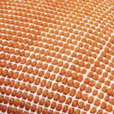 Trory Burnt Orange Throw Pillow