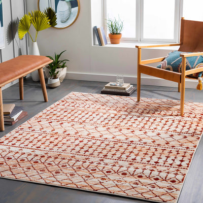 Kijabe Area Rug - Clearance